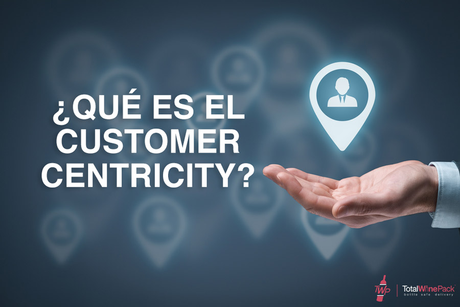 customer-centricity-01